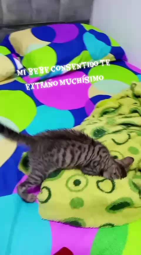 @user40073958625