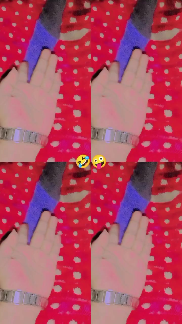 @👑MylLoveZiddi31👑