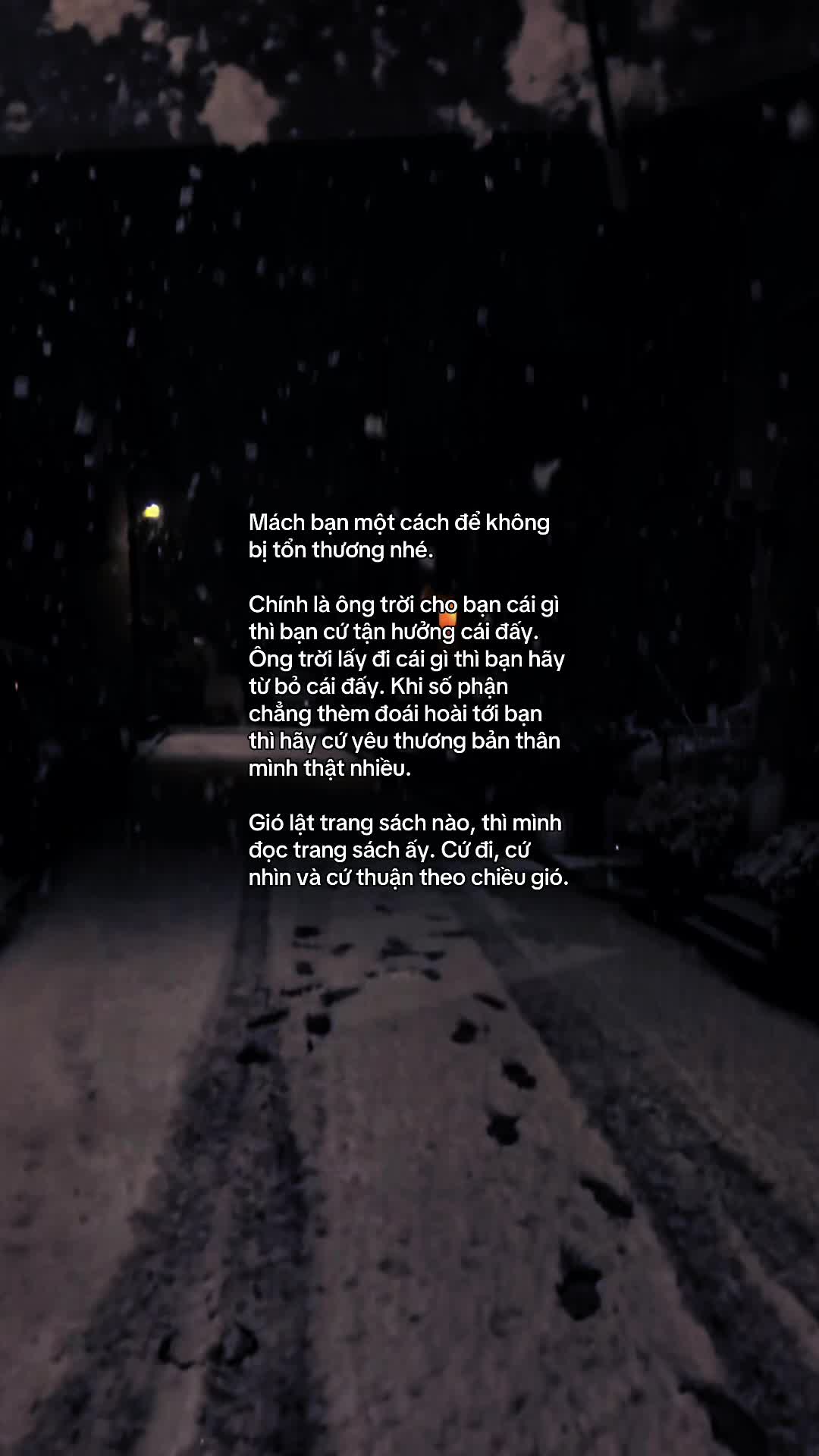 @M&egrave;o Trắng 😾