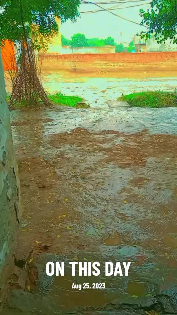 @Rehmani0071