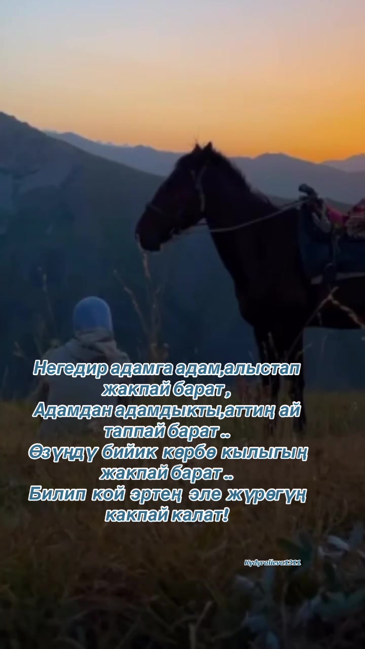 @Цитаталар❤️