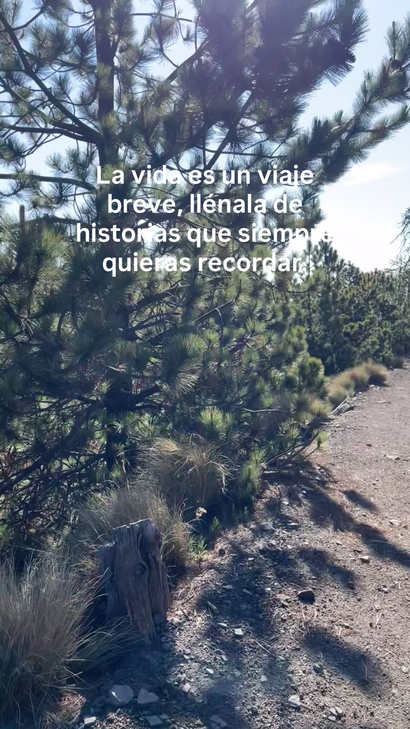@The Nevado Experience