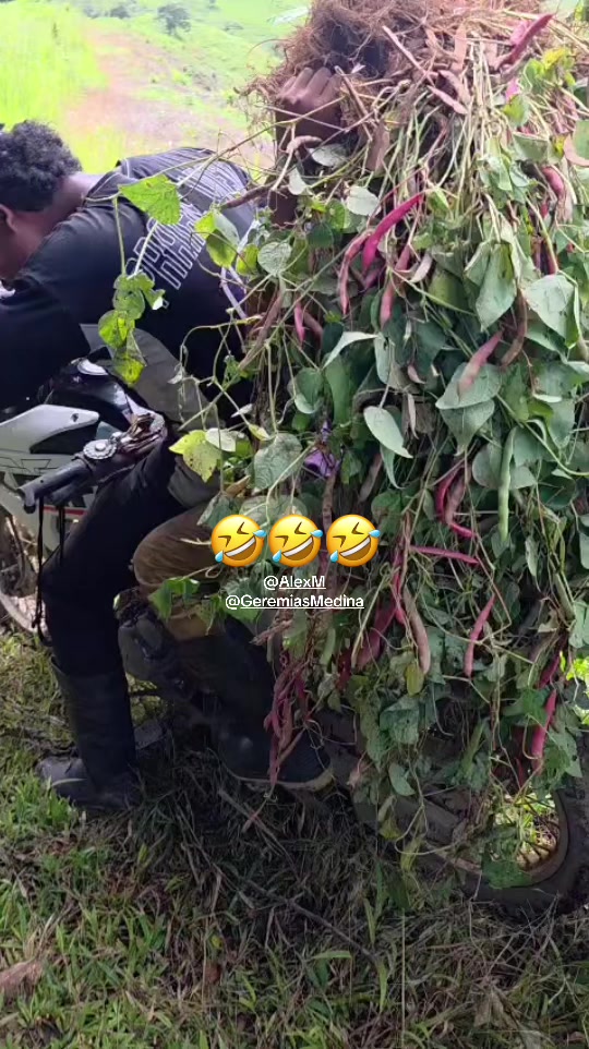 @Nᴀɴᴄʏ_Rɪᴠᴇʀᴀ
