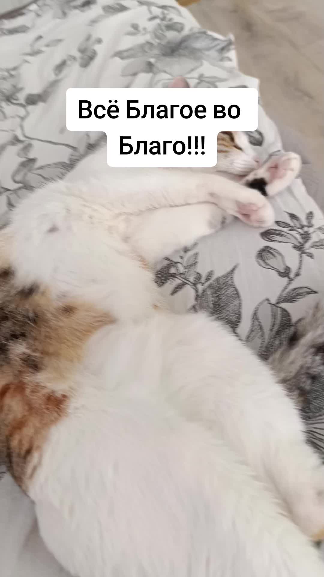 @LILU19_