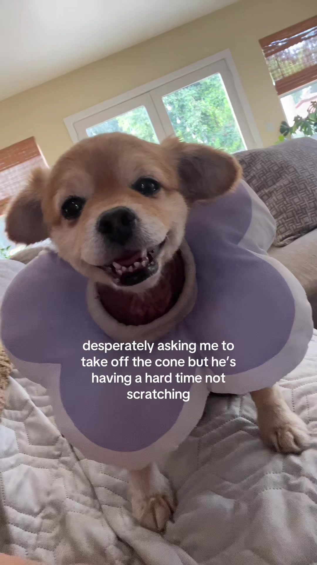 @kingpep