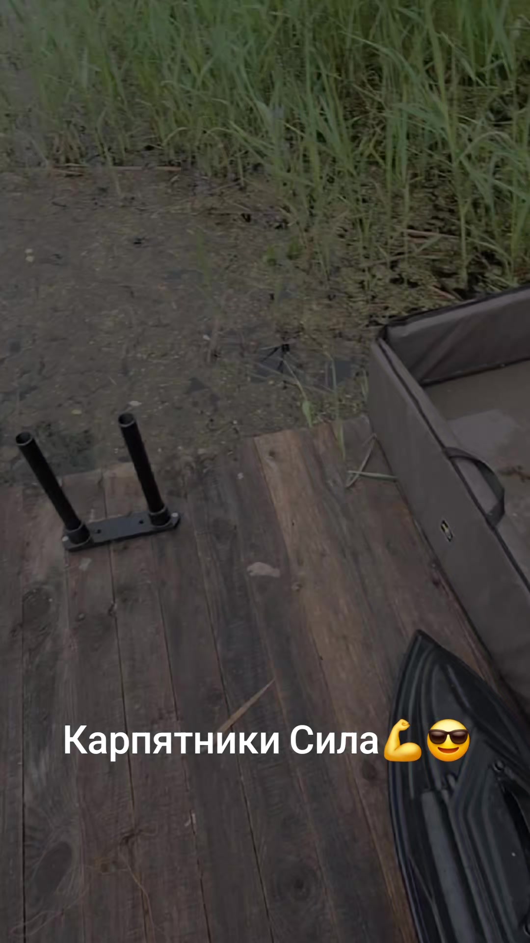 @Дикий карп рулит💪😎💪