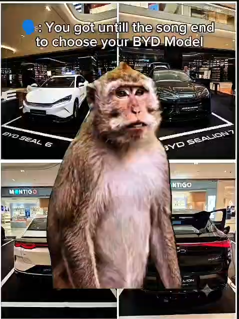 @BYD Millennium Bandar Utama