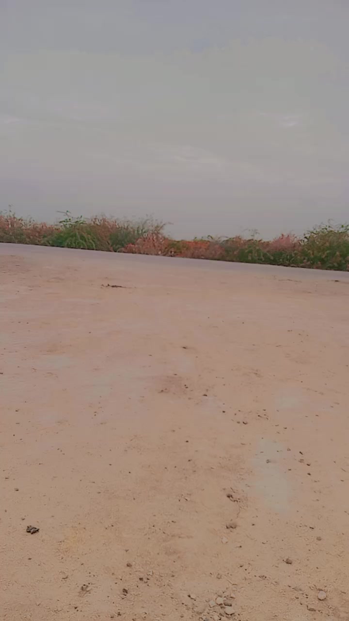 @babar. babbar