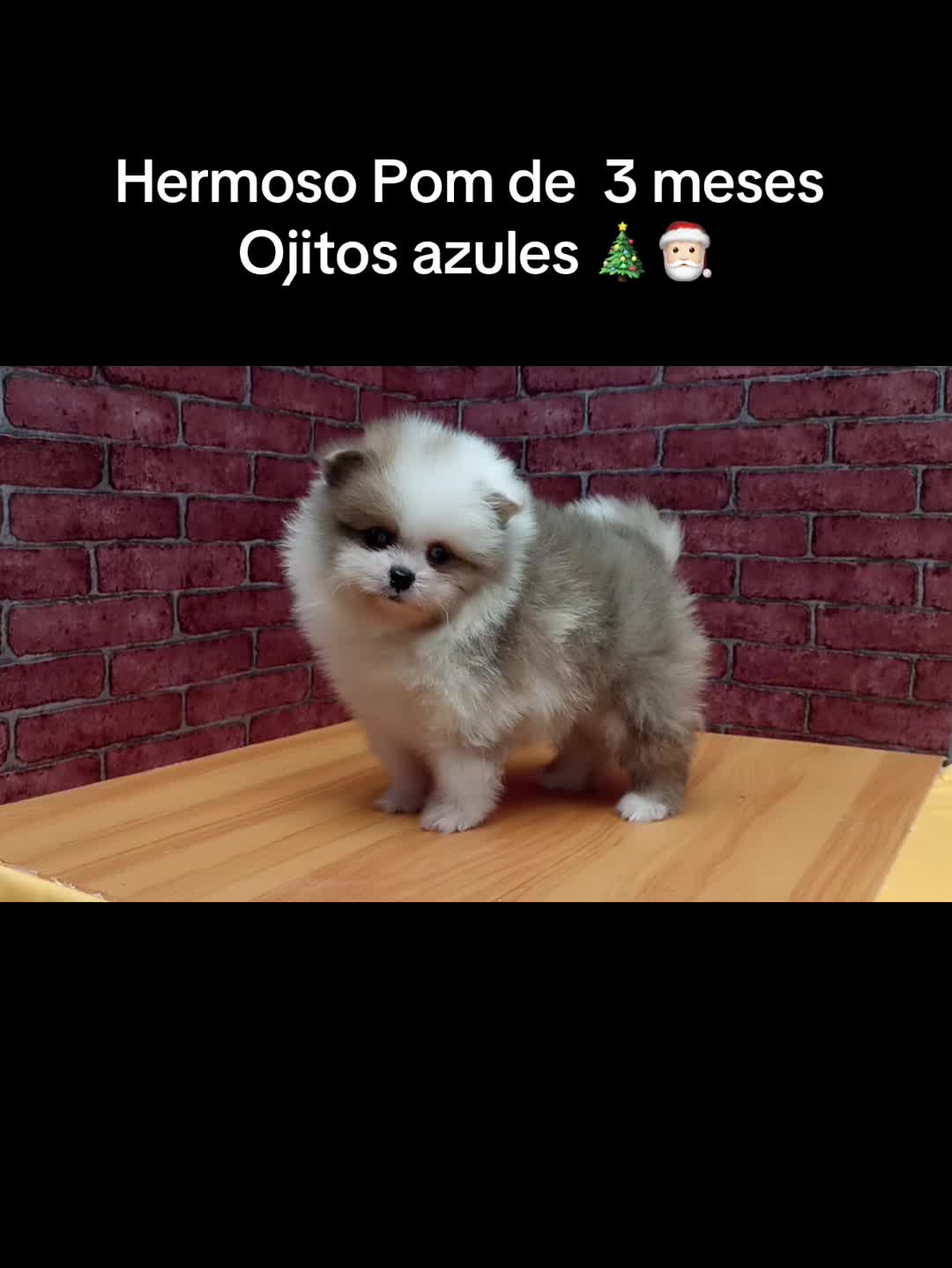 @VHR🍒