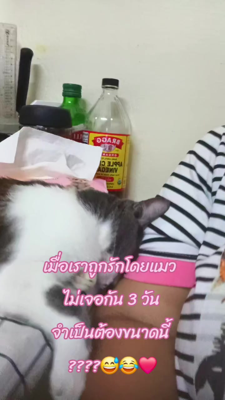 @การดี ช่องเก่าปลิวจร้า