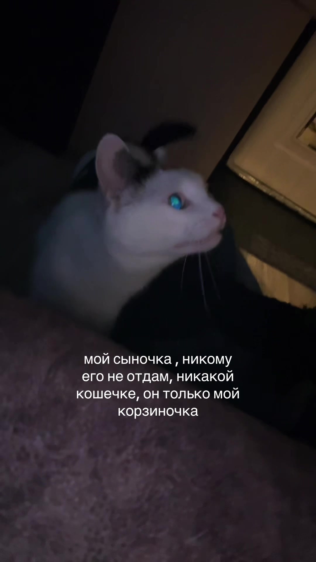 @ненастья