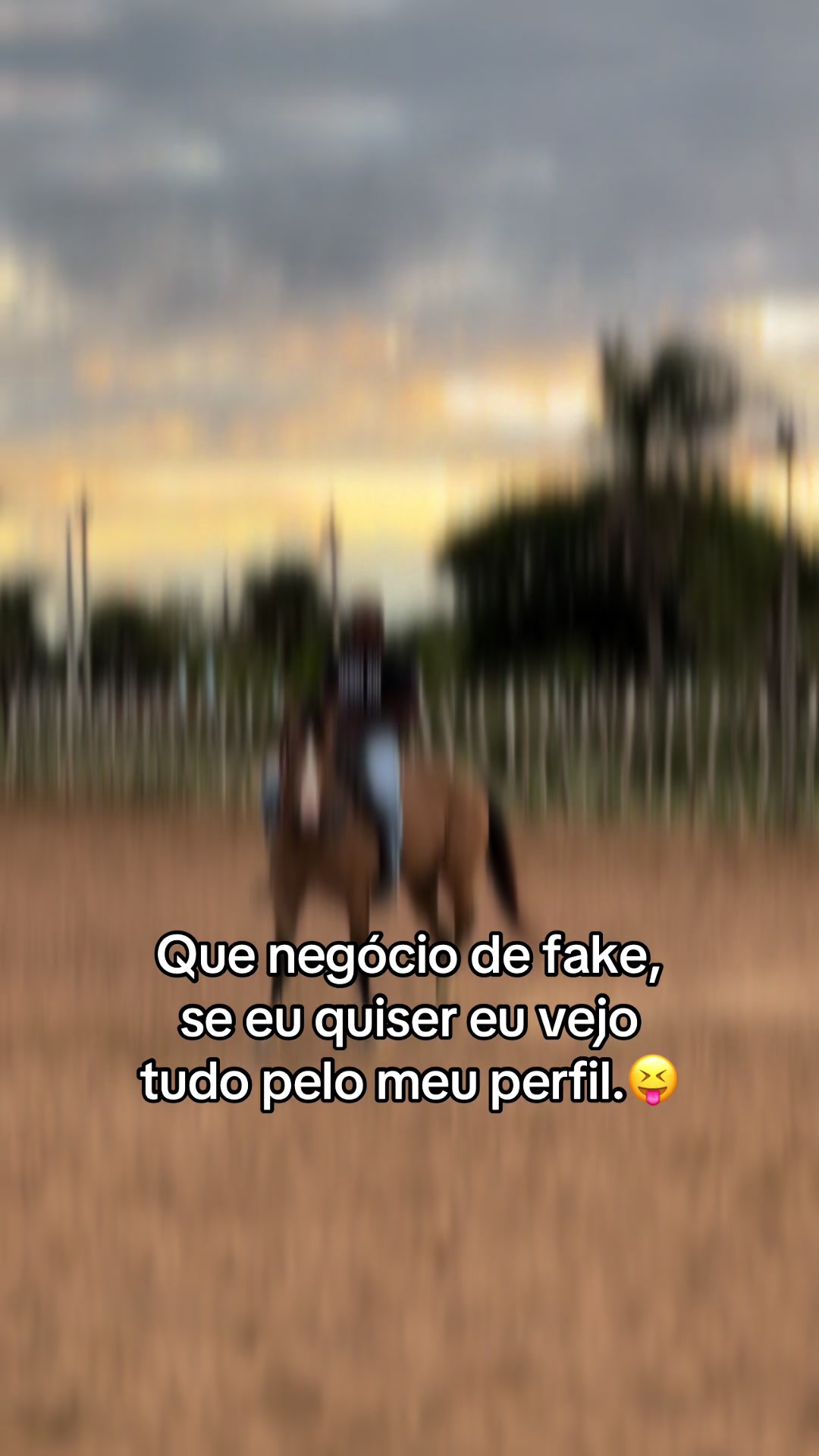 @M&aacute;rio Gomes