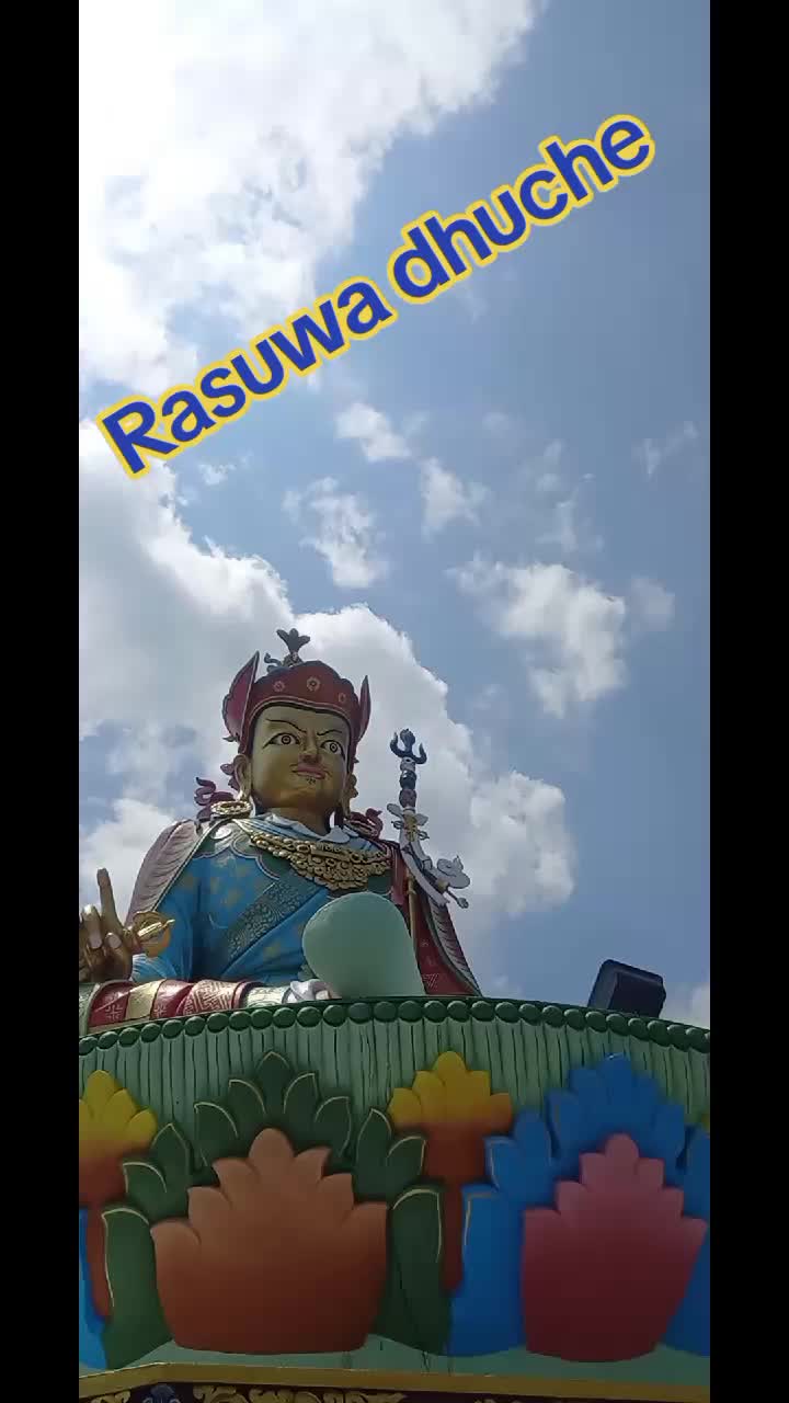 @kamdorjedm
