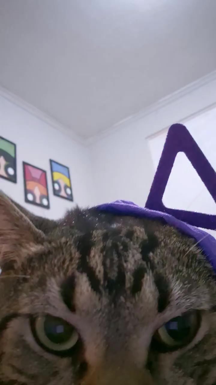 @Mushu