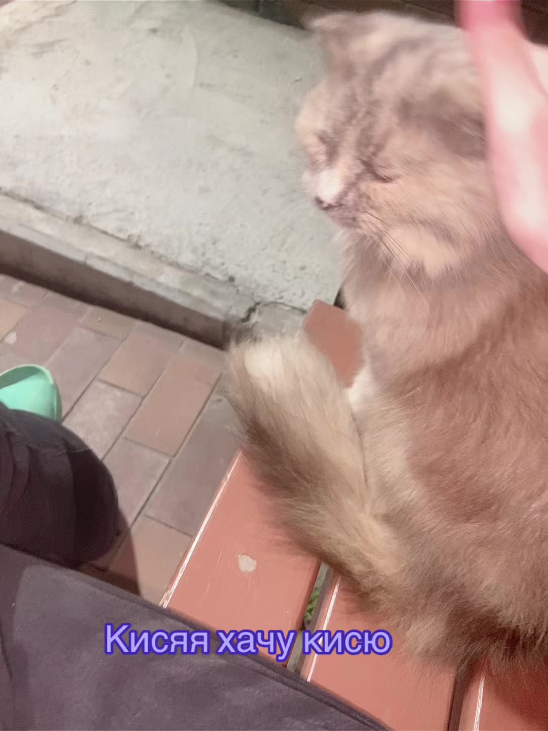 @Мур4алка