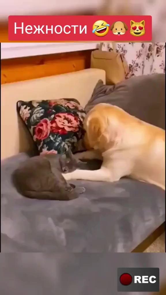 @Лариса