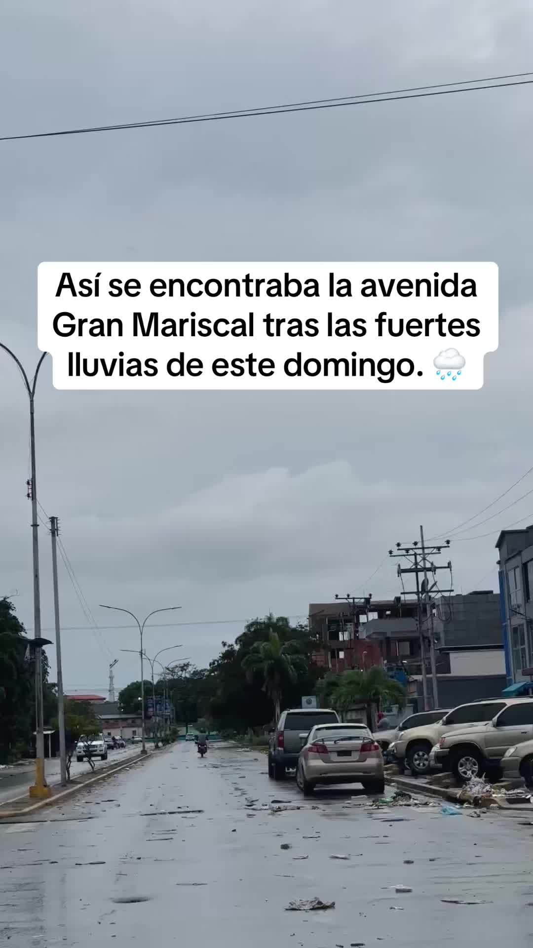 @Isabel Rondón