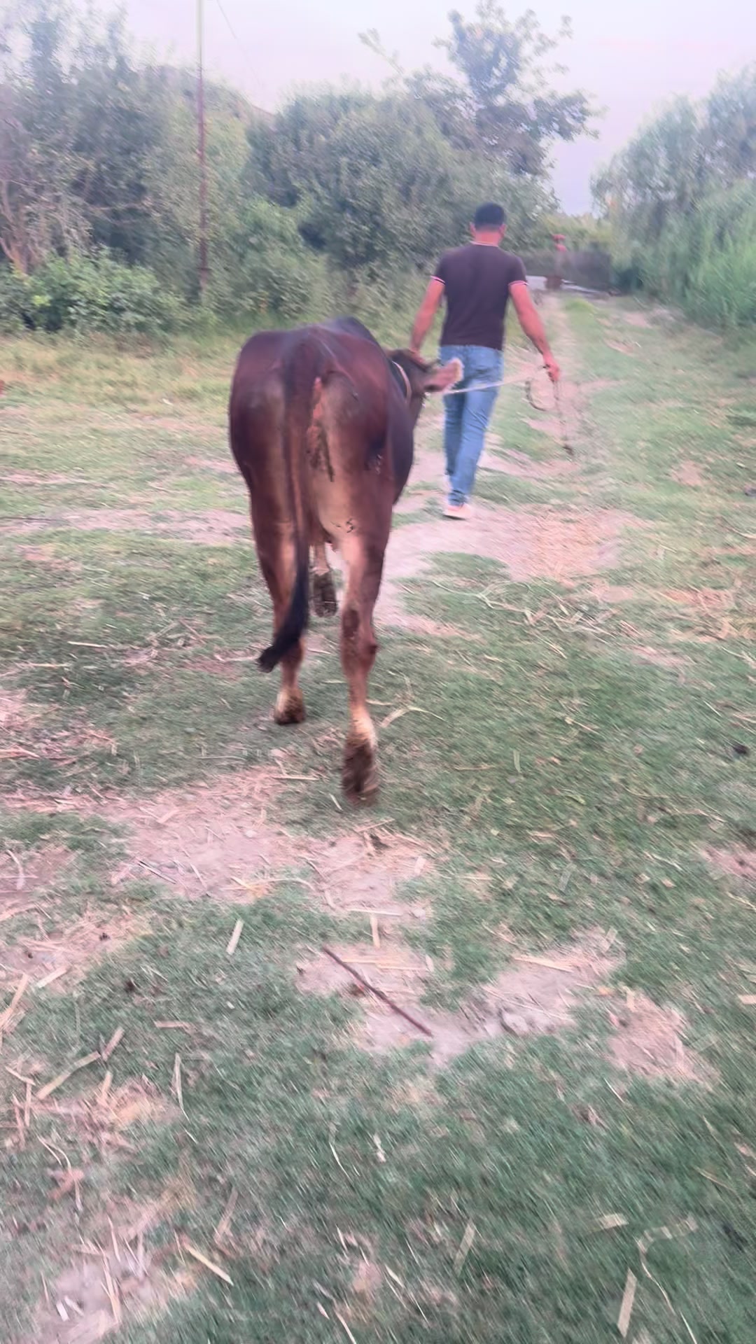 @Əli oğlu