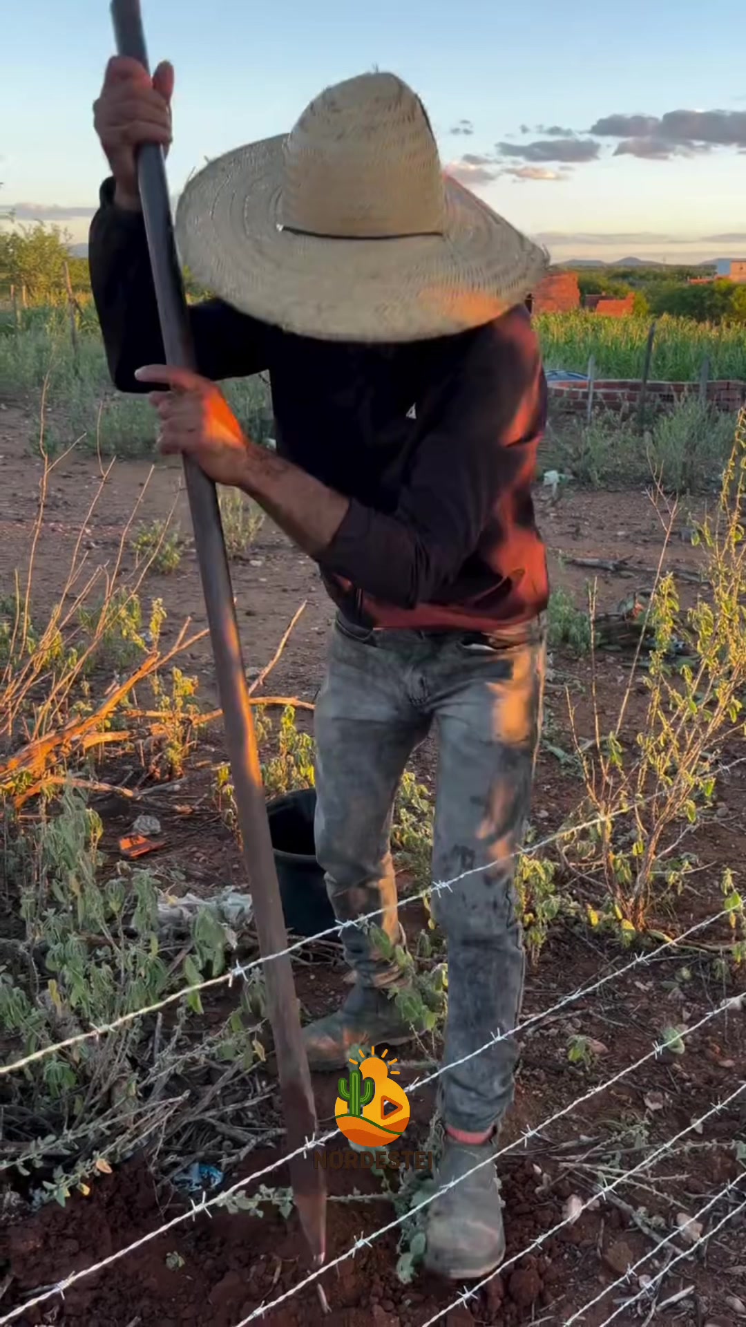 @Nordestei🌵