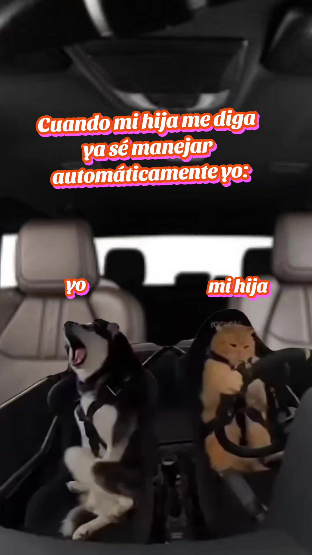 @Mel
