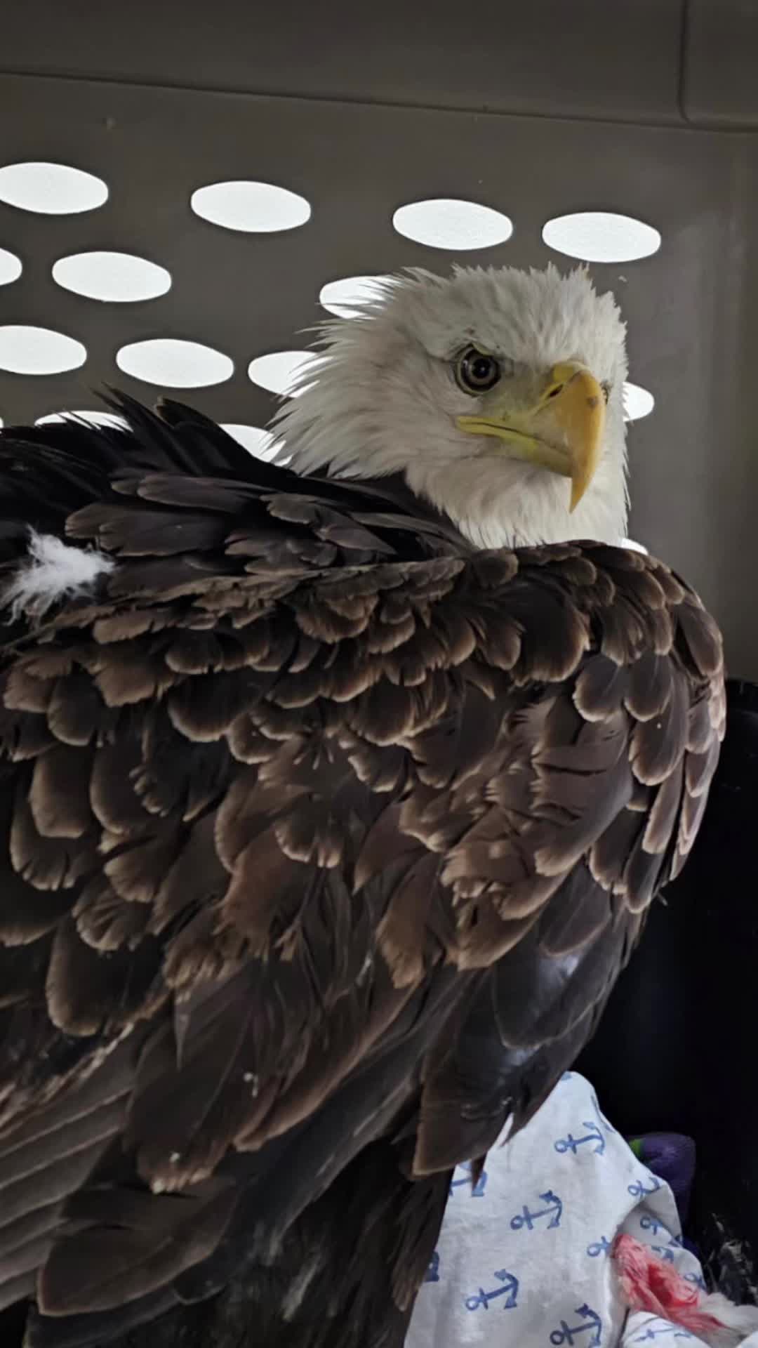 @HowellNatureCenter