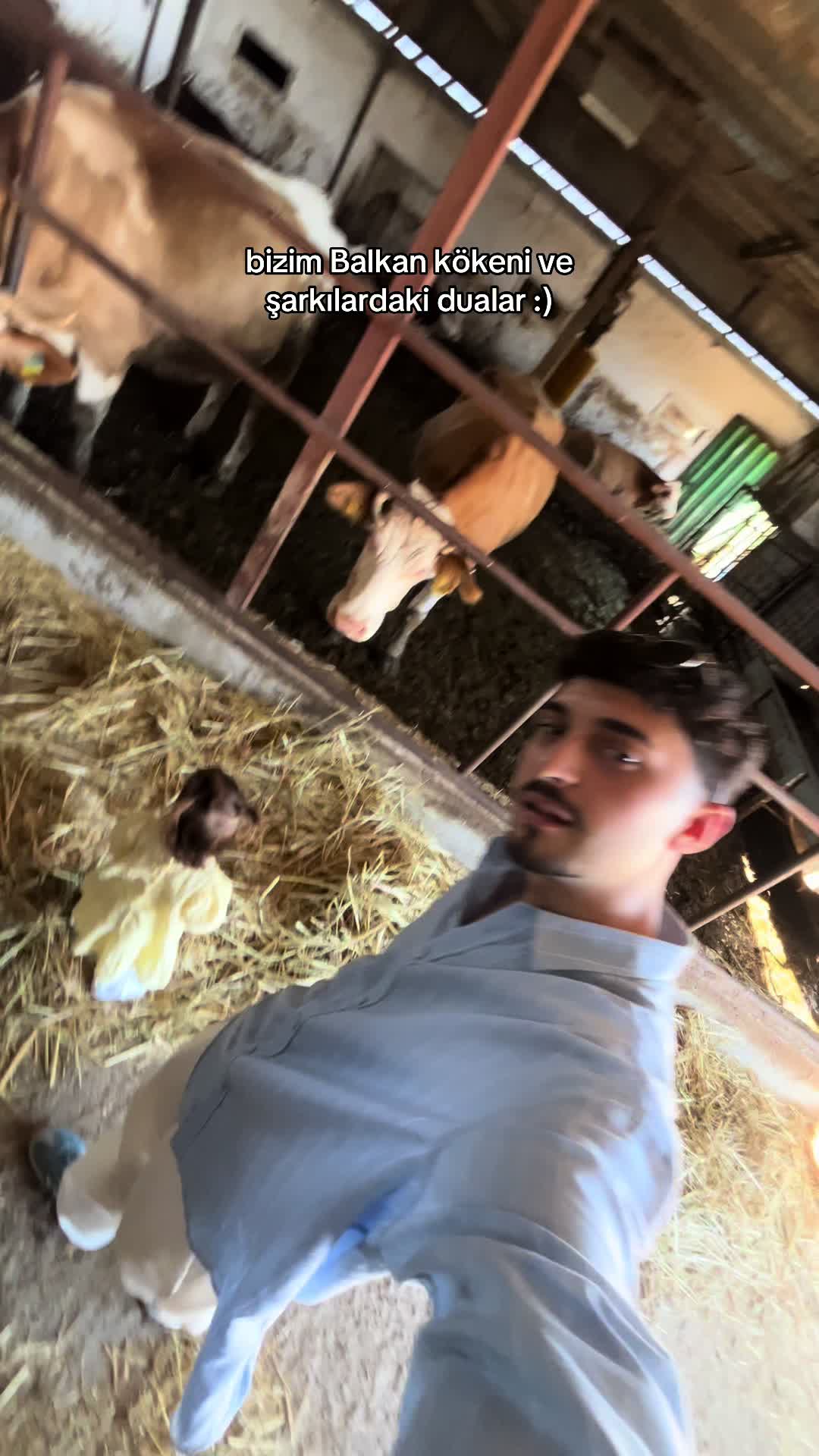 @Emirhan