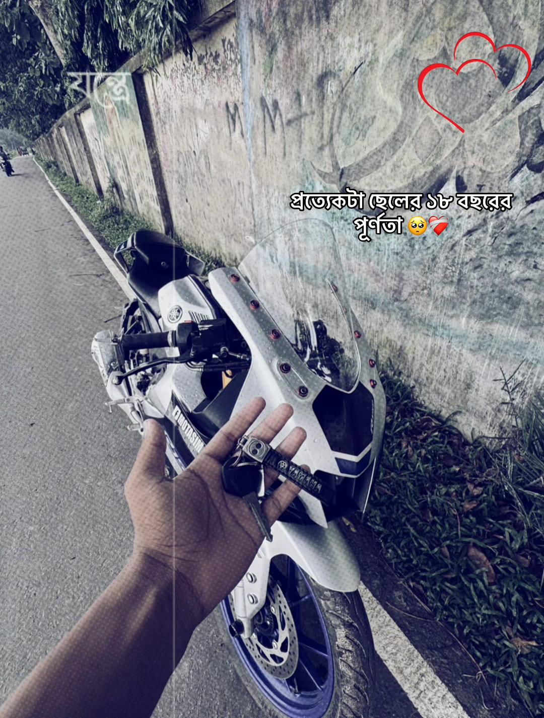 @↳。˚ 🖇️ṧℴիàṧ♡┊🧸