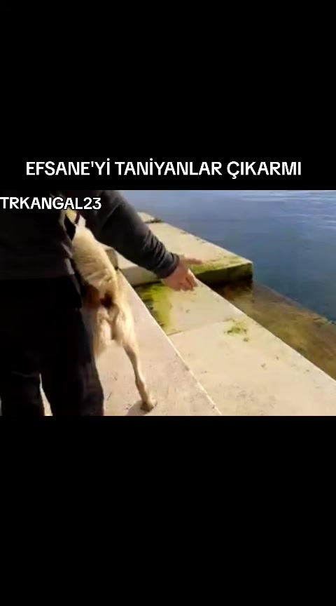 @🏆 TRKANGAL23 🏆