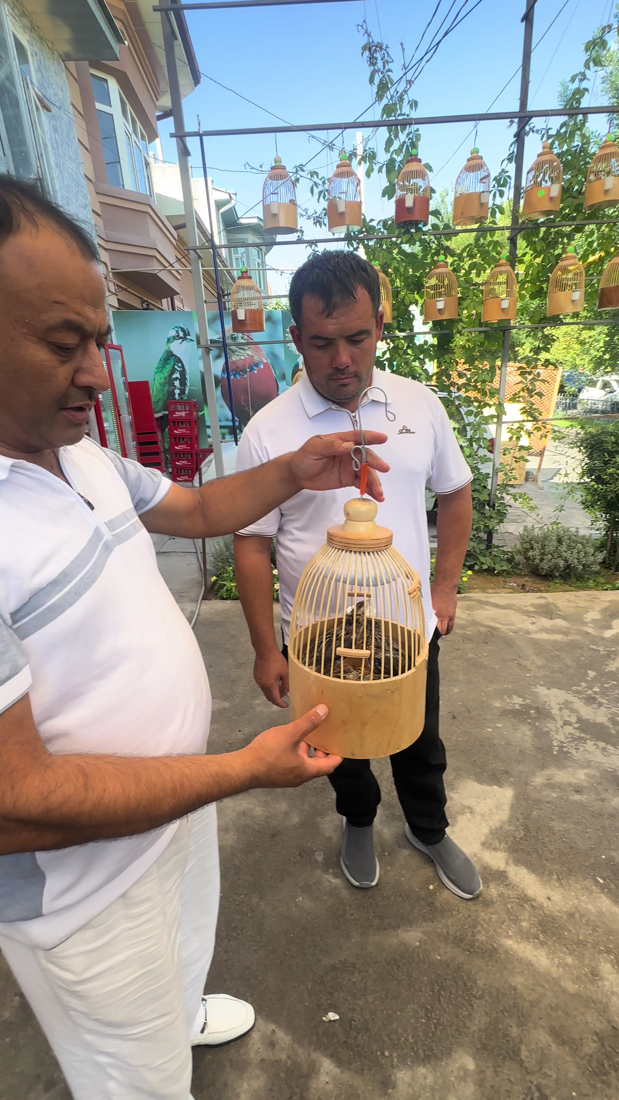 @SAYROQI BEDANA UZB 🇺🇿