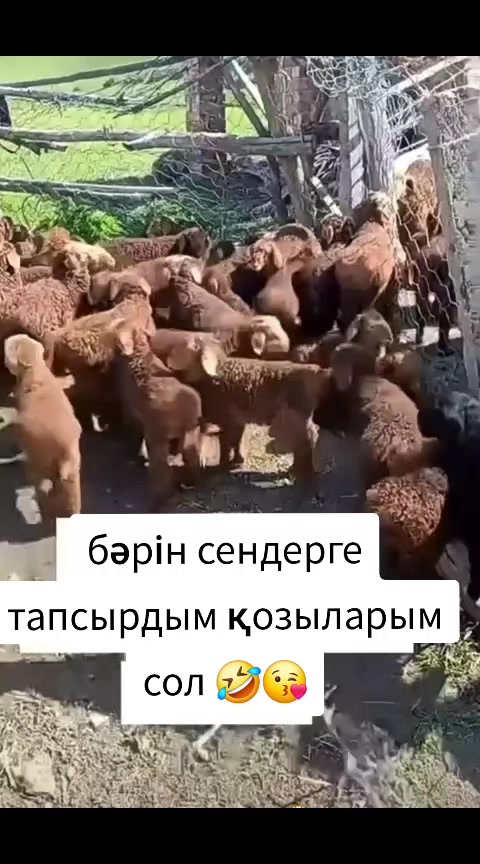 @ереке