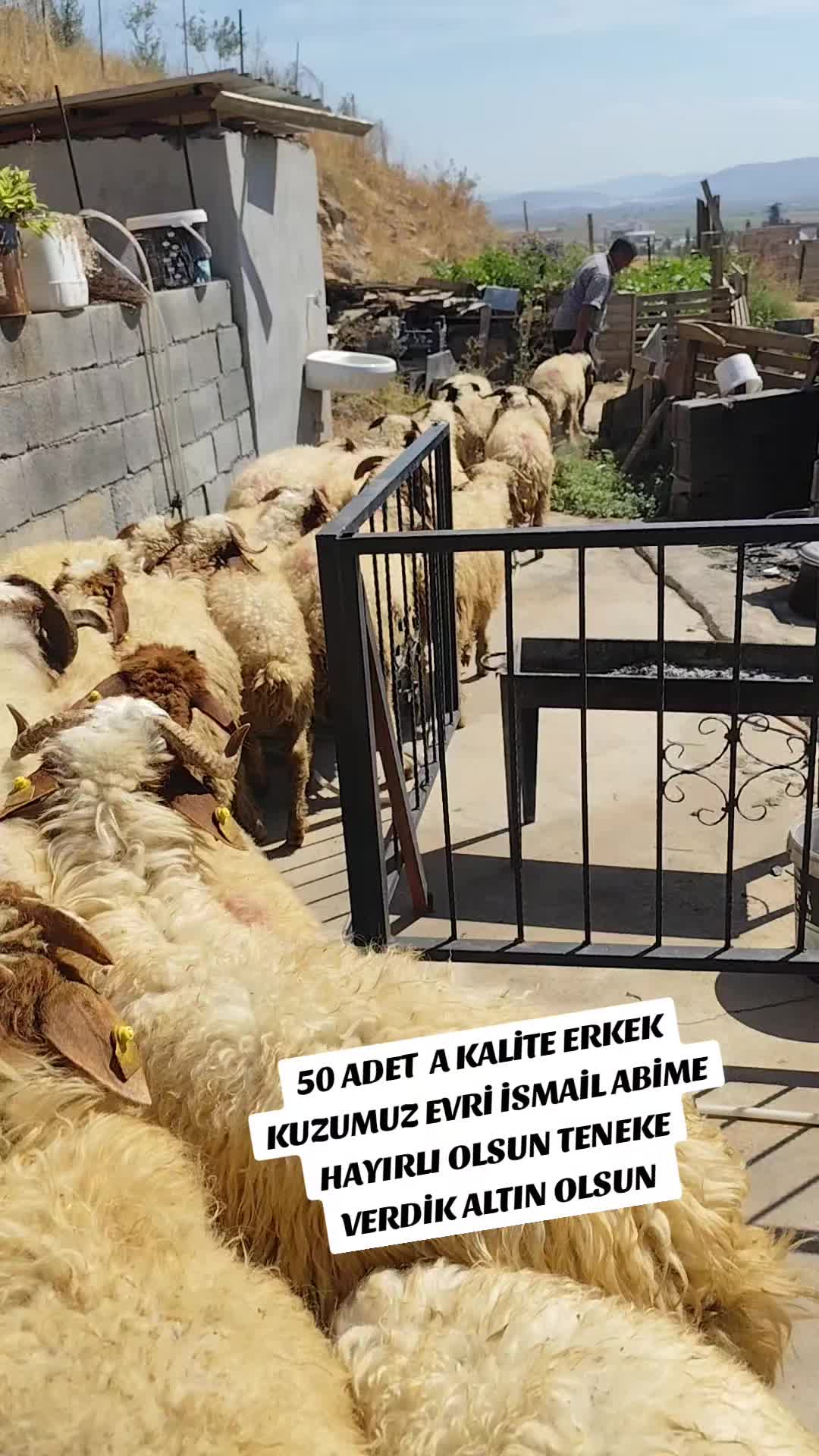 @ADAKCI CUMA