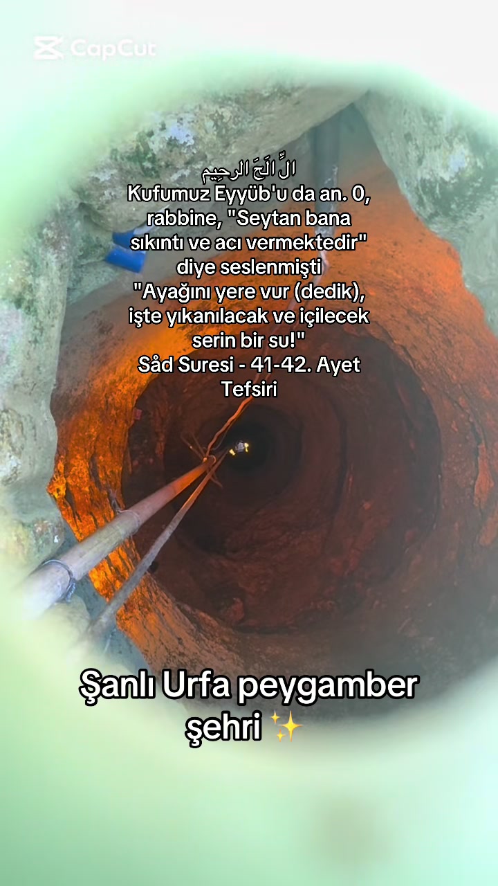 @uǝɹǝƆ                  🪳