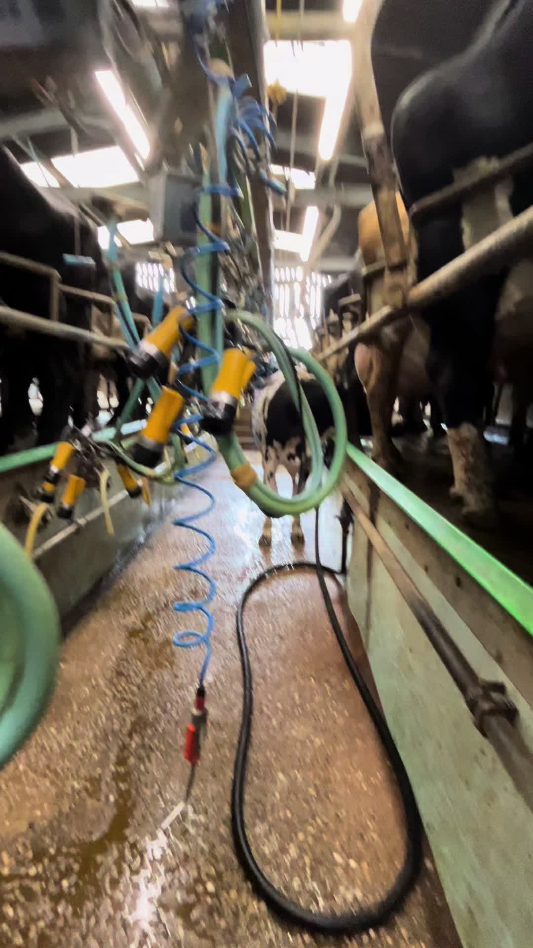 @Agriculturist in UK