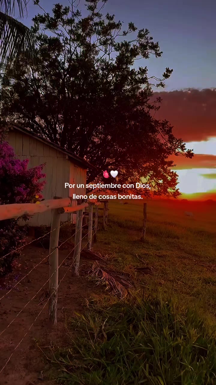 @FRASES🧃