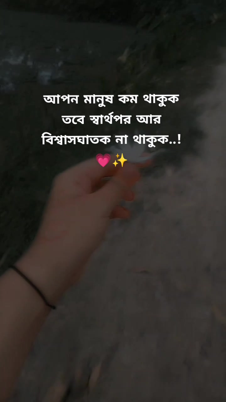 @M🕊️