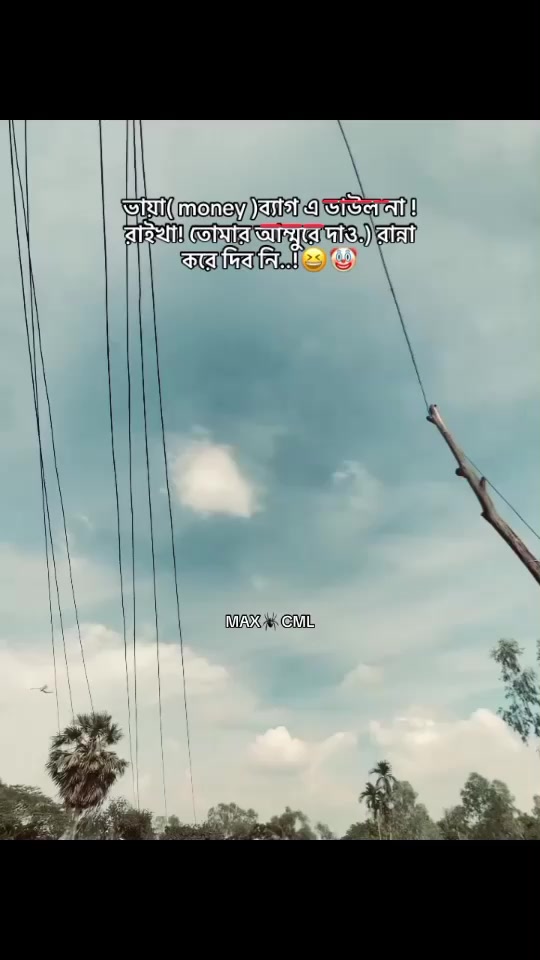 @MAX 🕷️ CML