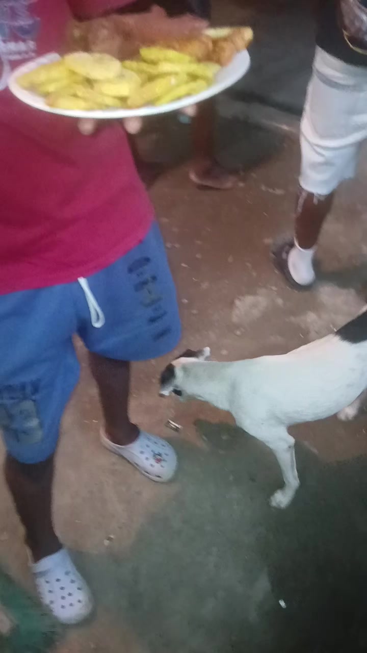 @elreypi63