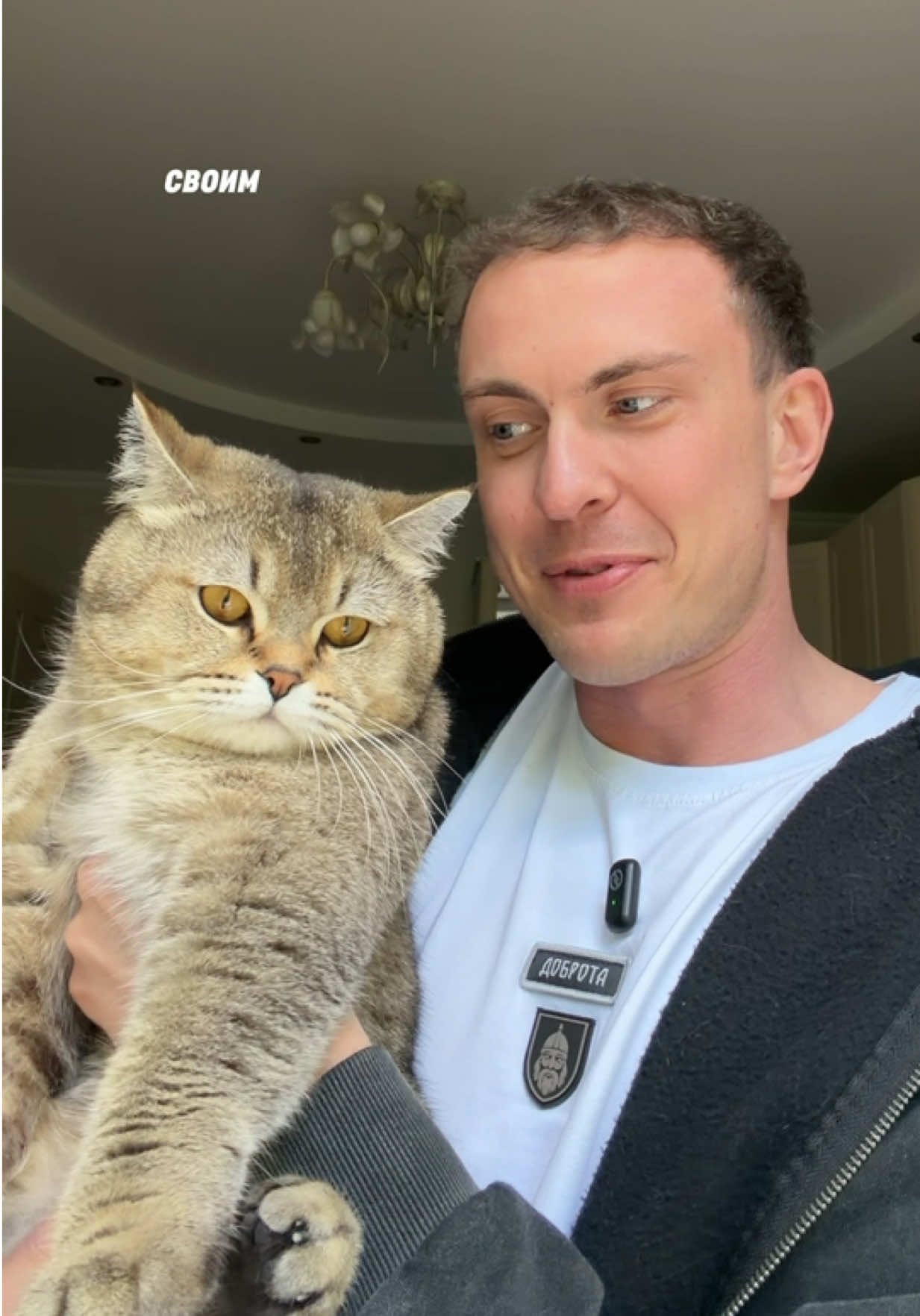 @котопапа