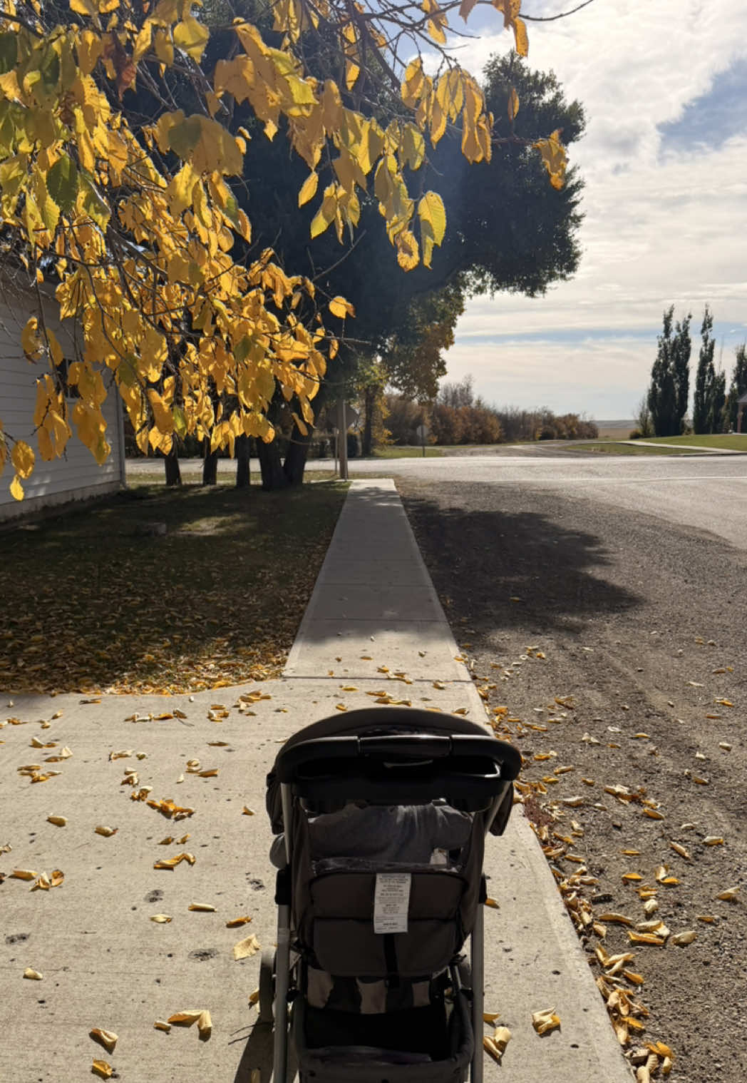 @Саша в квадраті 🧑🧒 UGC