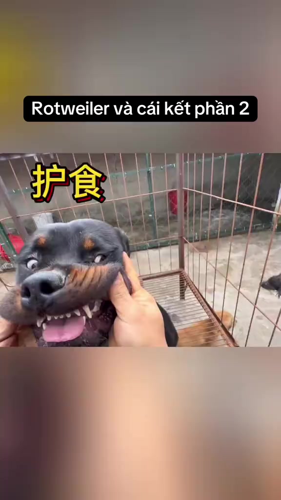 @Dương Anh 22