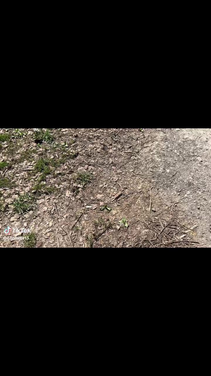 @🚷kVASIK🚷