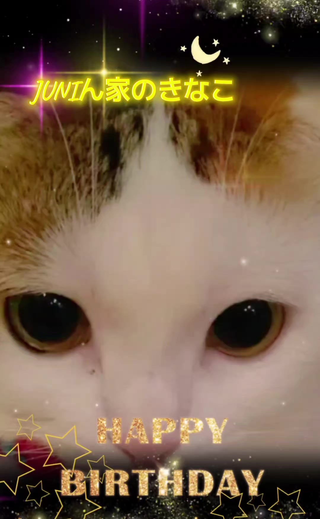 @✨𝑲𝑨𝑻𝑺𝑼𝒀𝑼𝑲𝑰🏆️🥛✨
