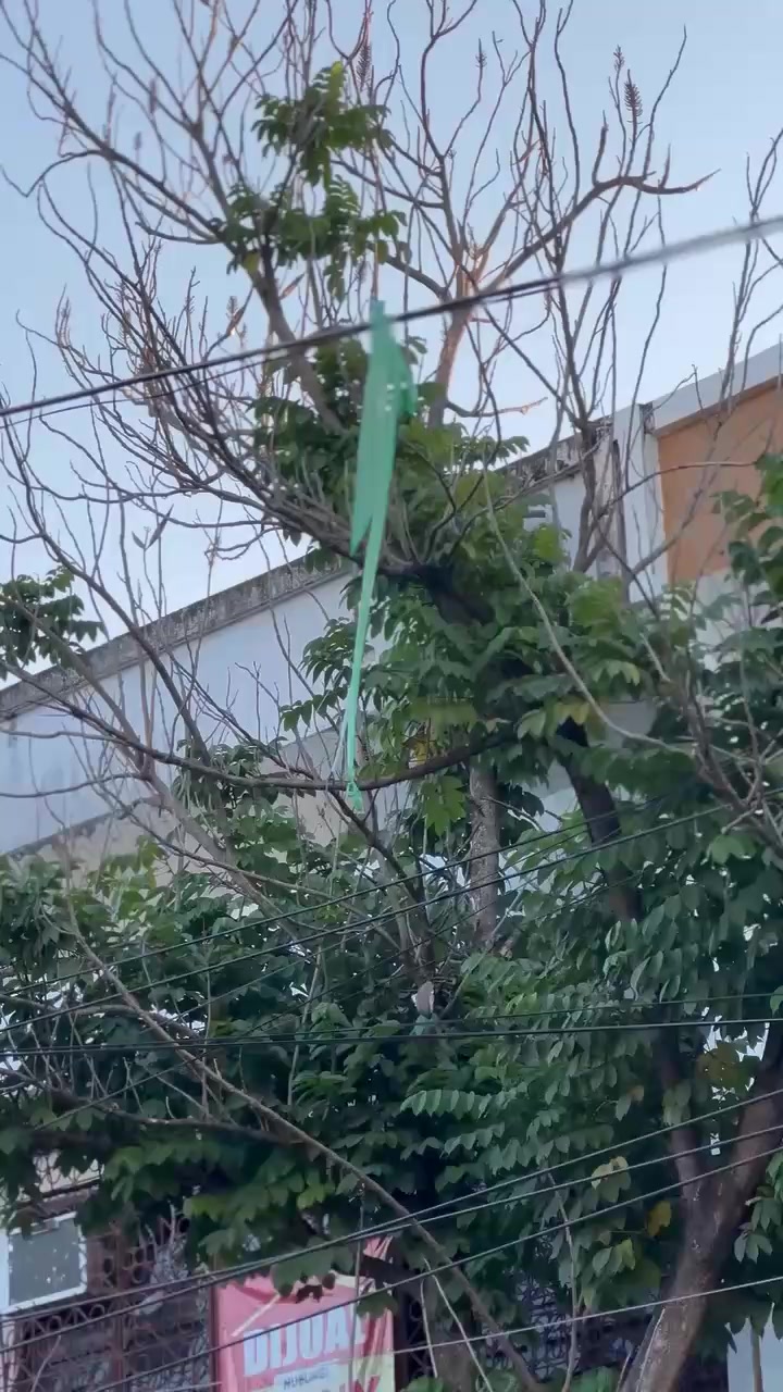 @๐ผ๐ฃ๐๐ ๐ ๐ ๐๐ช๐ใฝ๏ธ