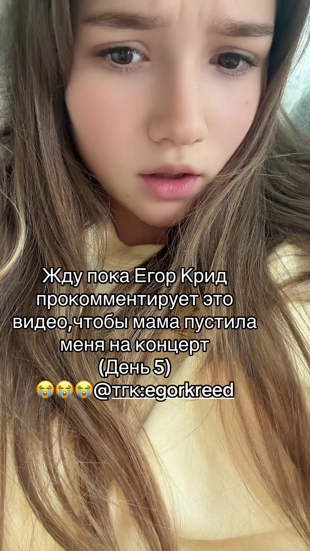 @lizaseagull🩵🩵