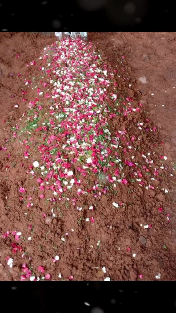 @Janat Pari