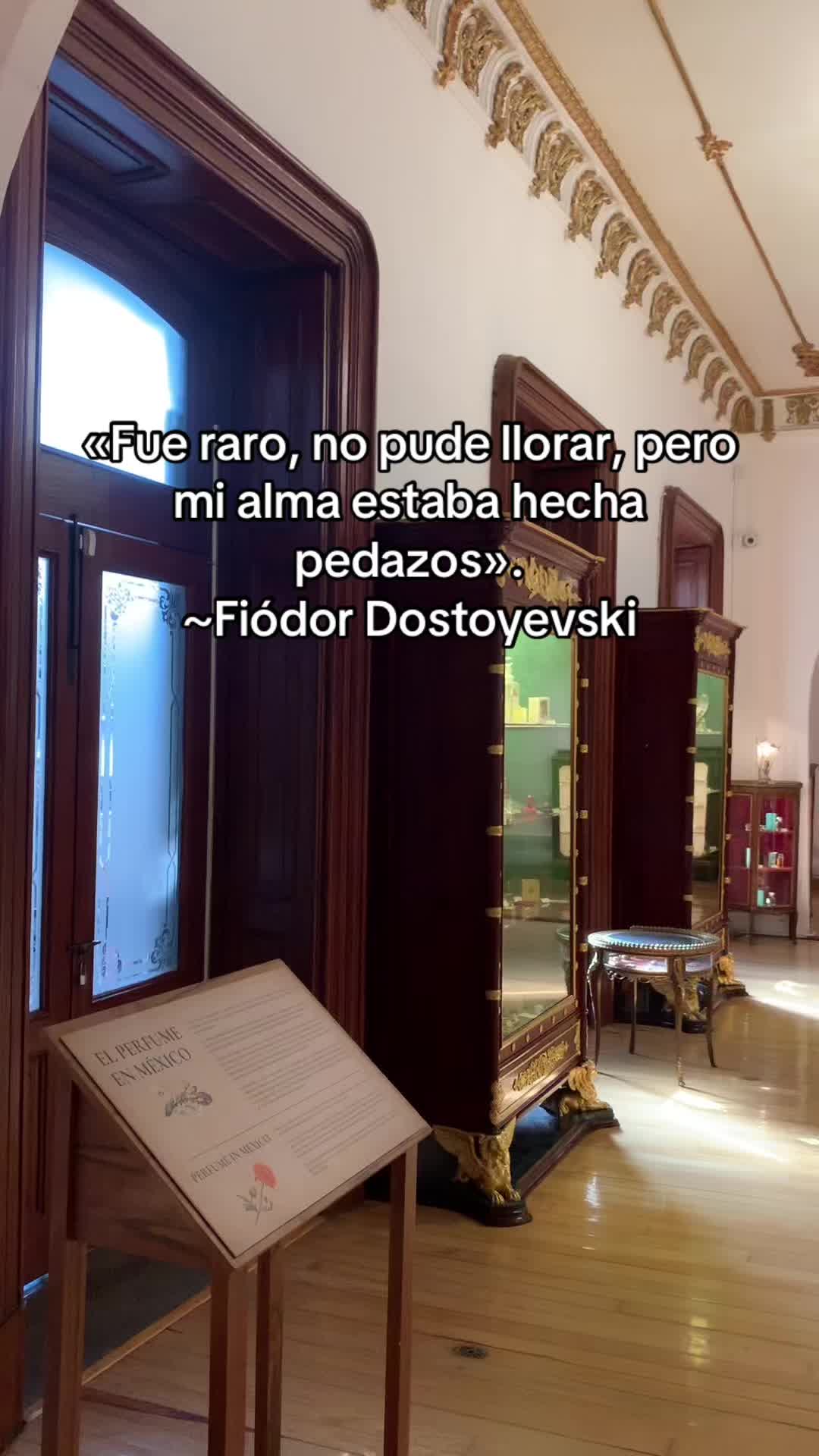 @faustgoethe279