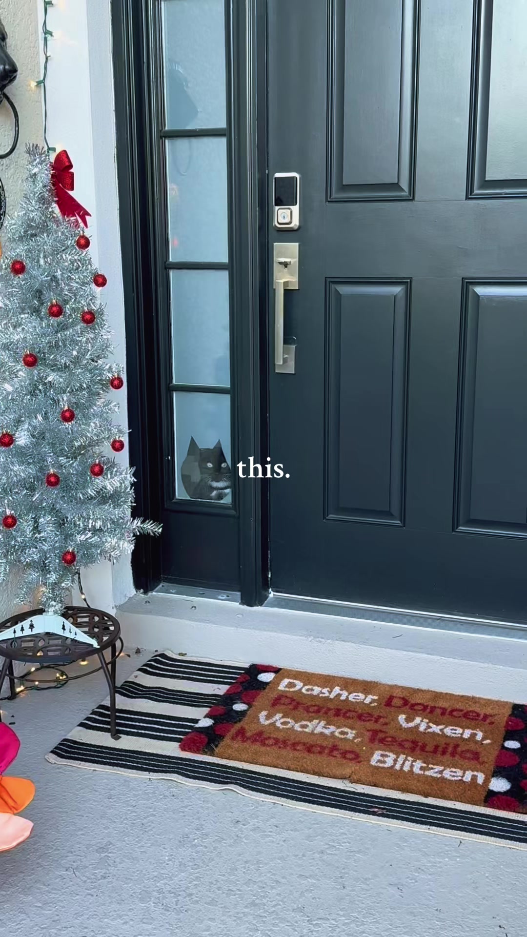 @Stef 🧡 cats! 🐈 🐈⬛🐈🐈⬛