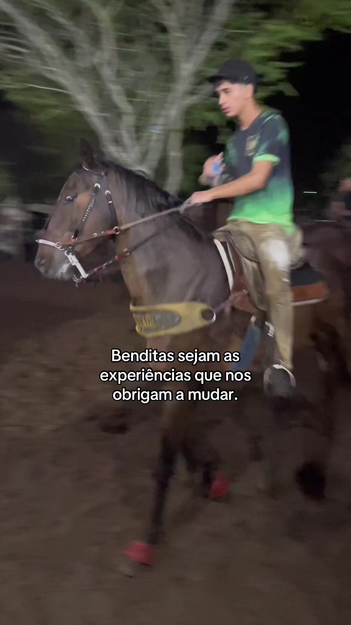 @fabioguilherme13