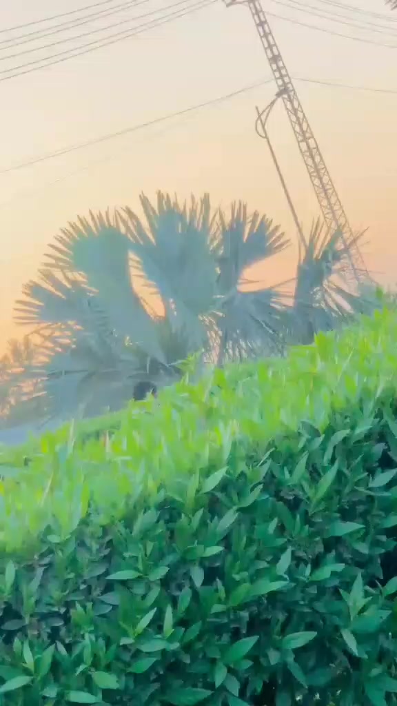 @AmirSahu786