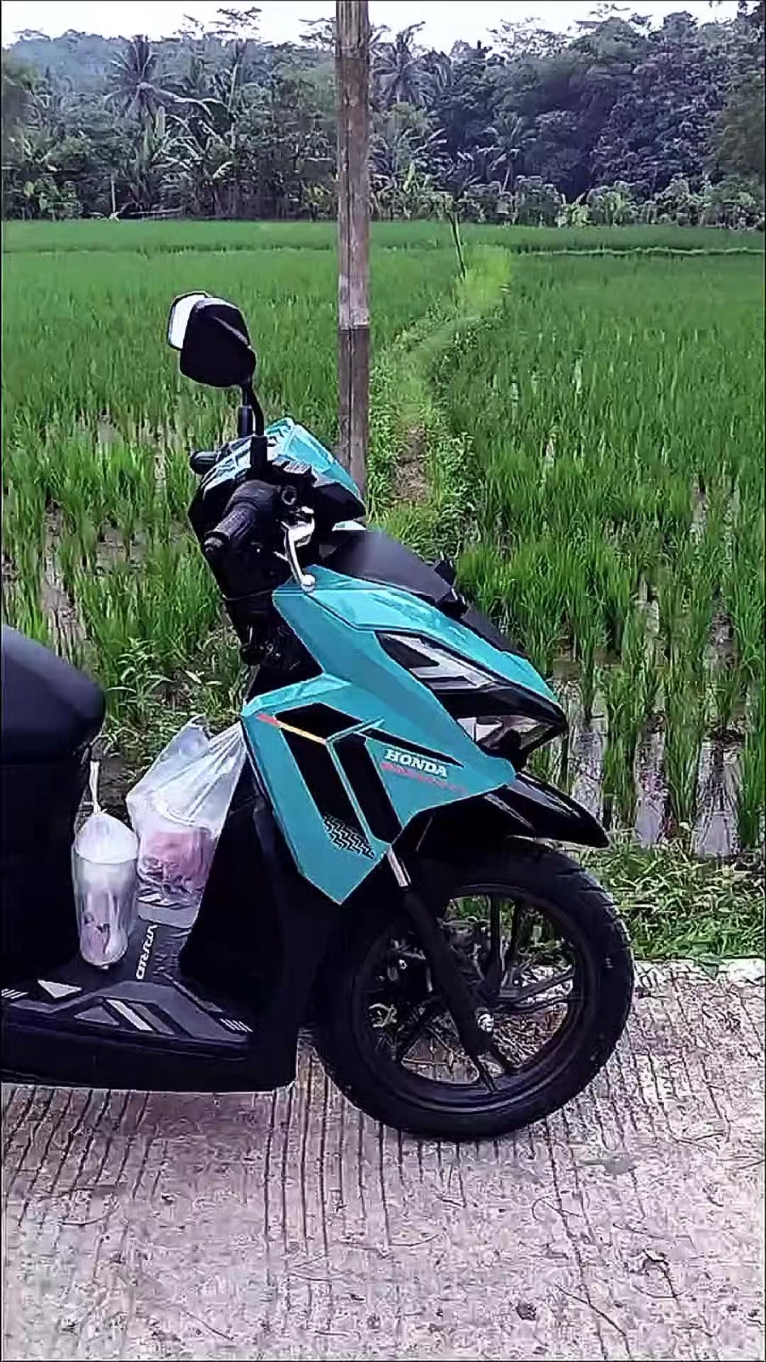 @𝙫𝙖𝙧𝙠𝙮𝙮 🥶 | ʟɪɴɢ ʏᴜxiu🥀